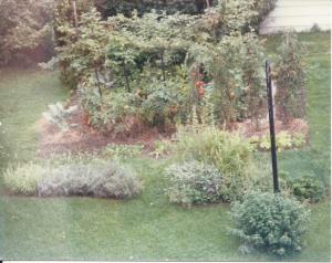 Backyard Garden (c)Robert C Trube